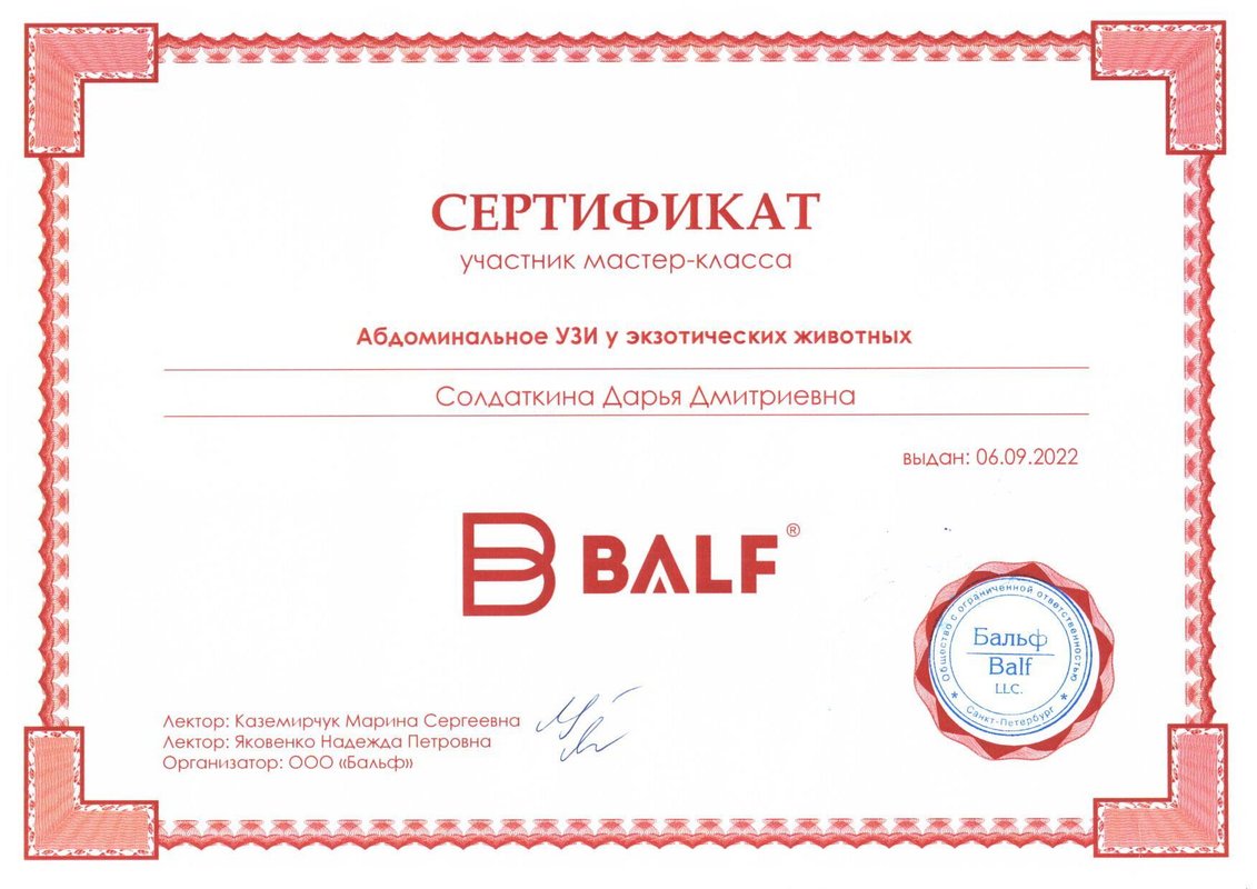 Документ или сертификат