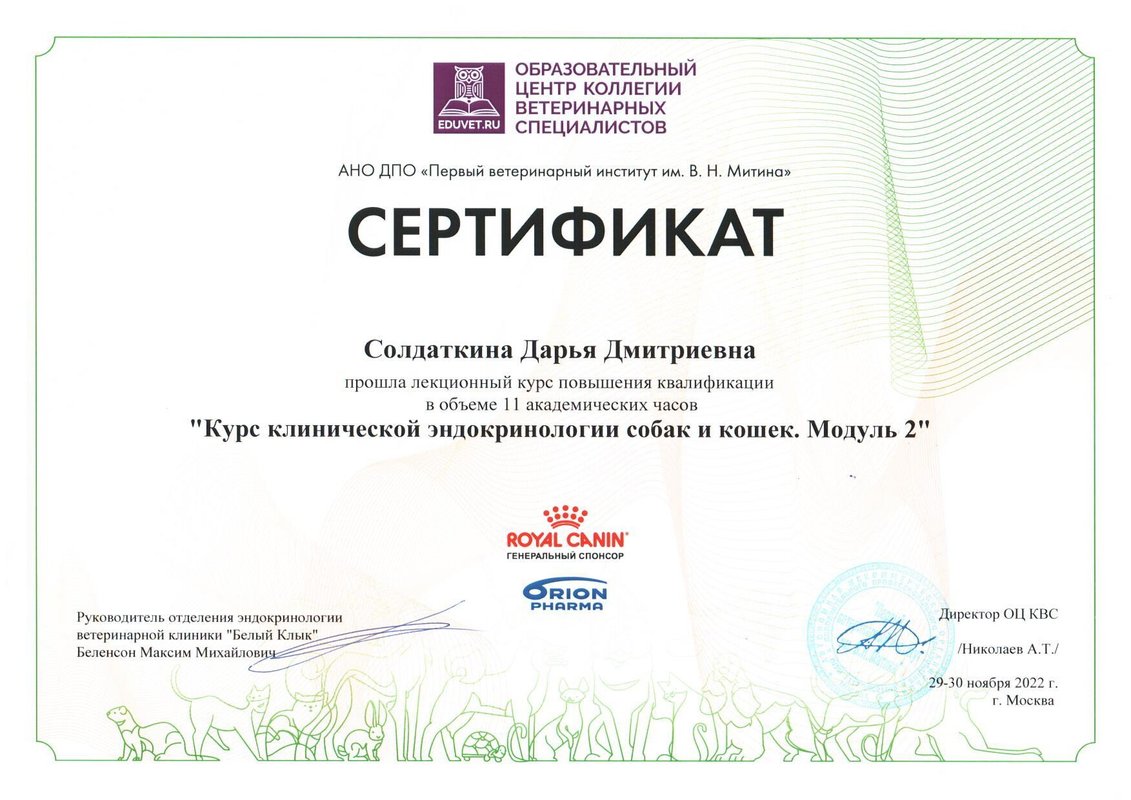 Документ или сертификат