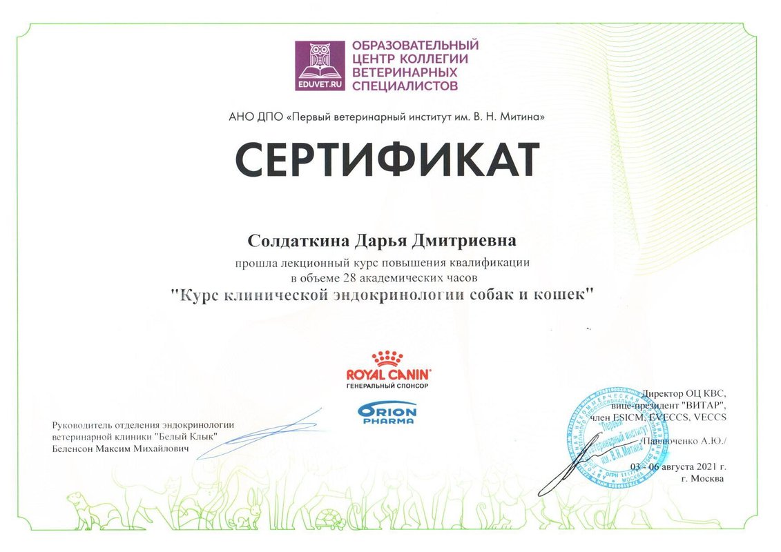 Документ или сертификат