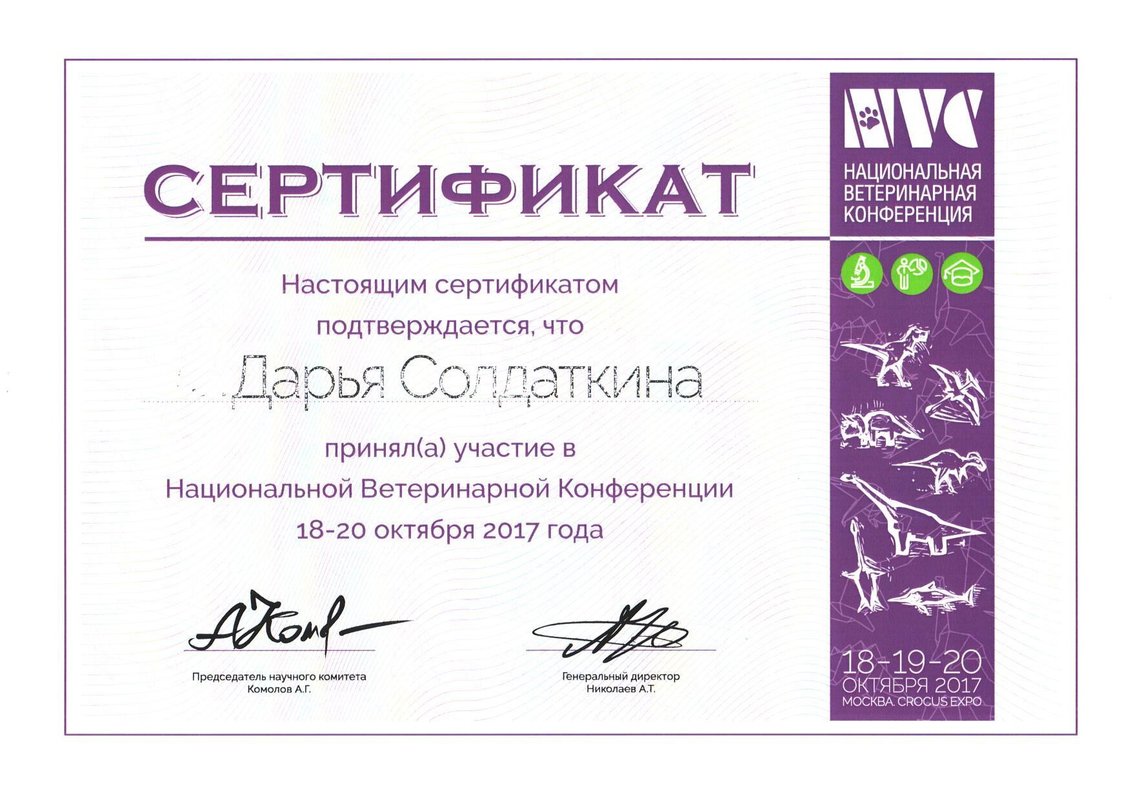 Документ или сертификат