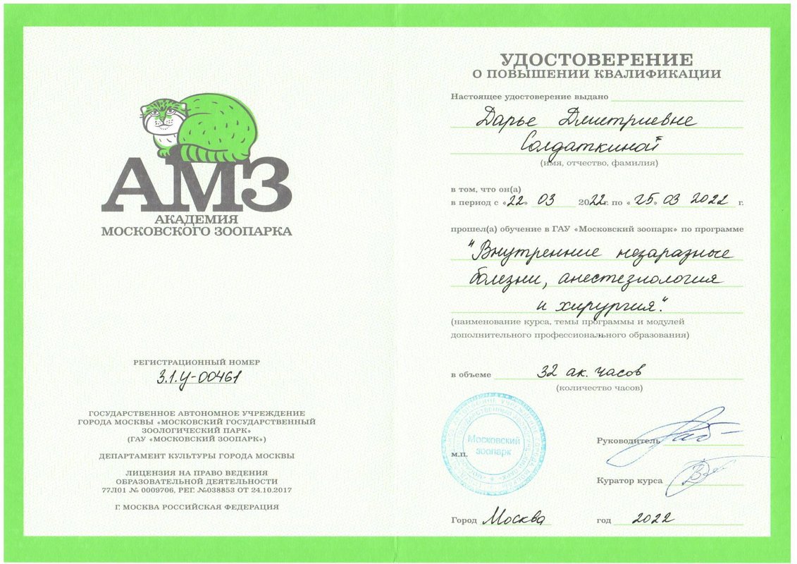 Документ или сертификат