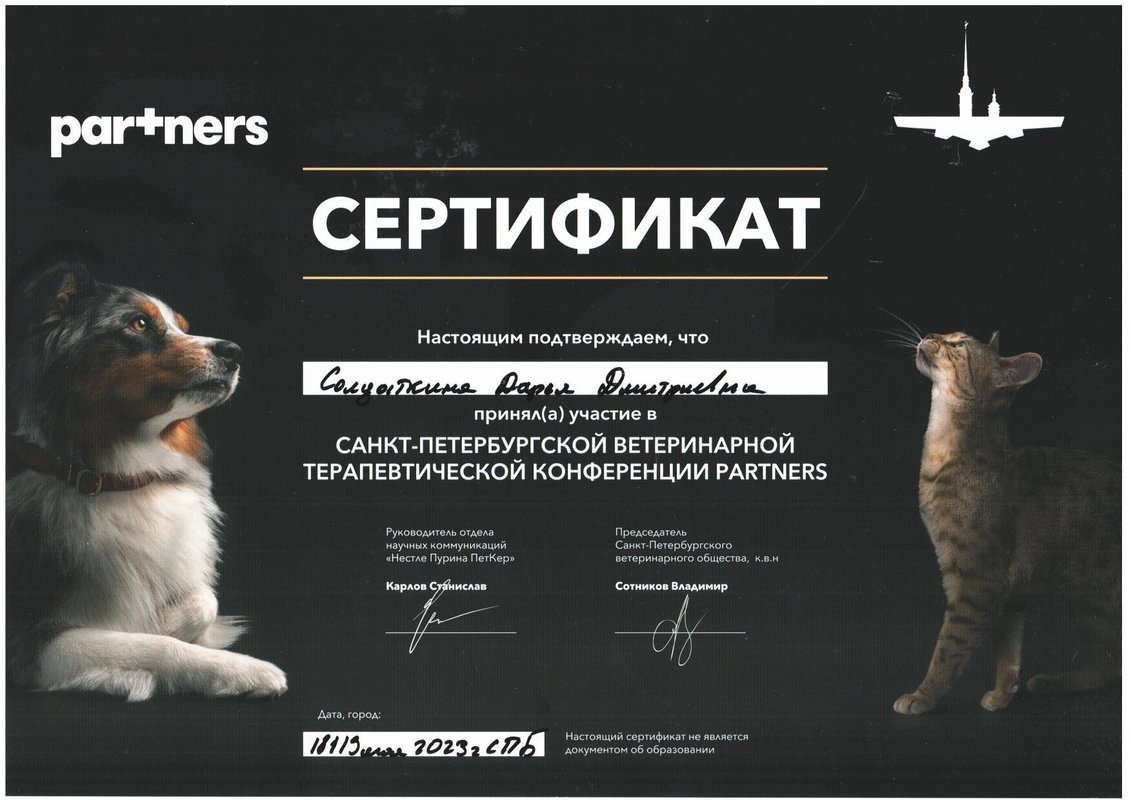 Документ или сертификат