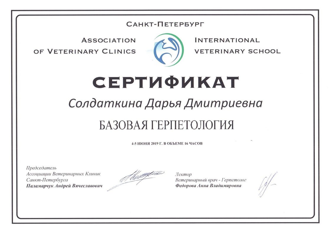 Документ или сертификат