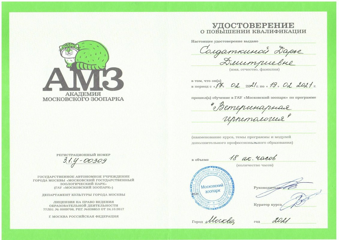Документ или сертификат