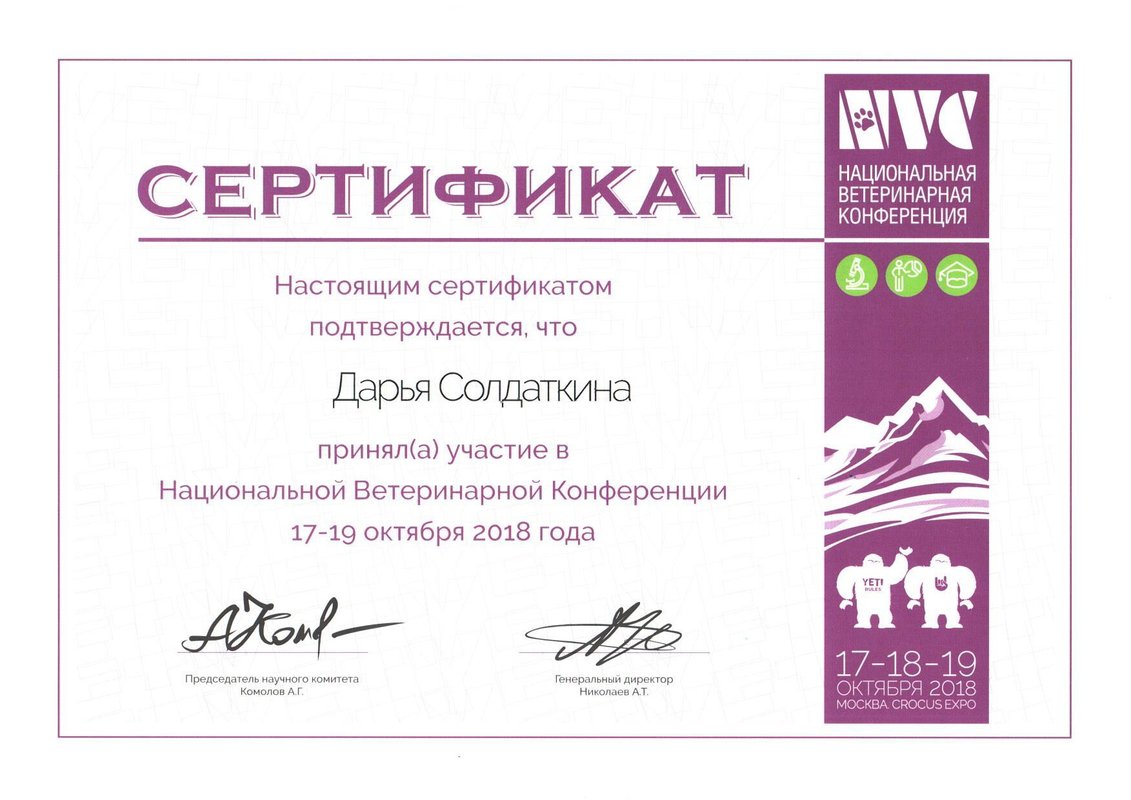 Документ или сертификат