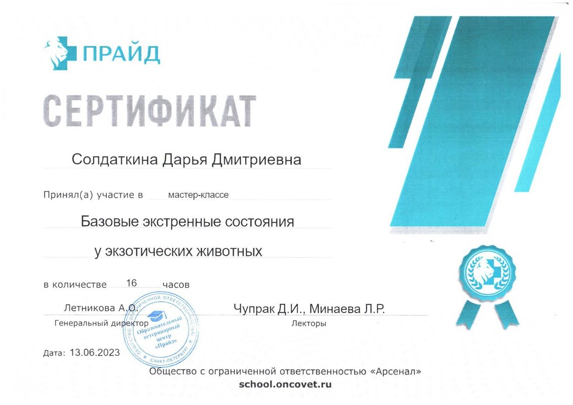 Документ или сертификат