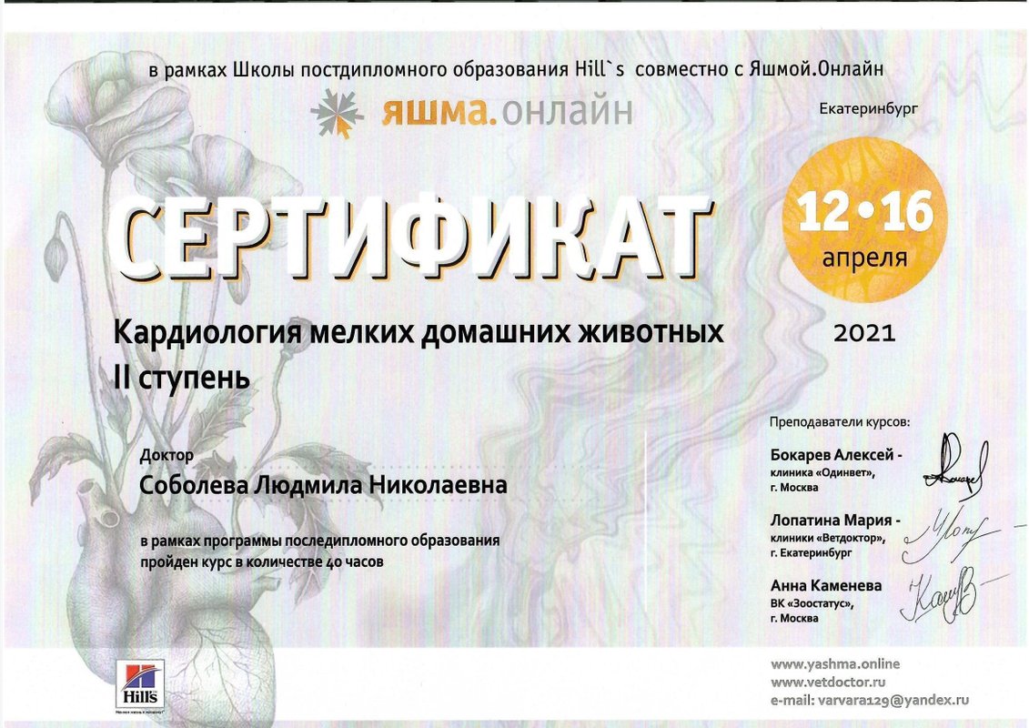 Документ или сертификат