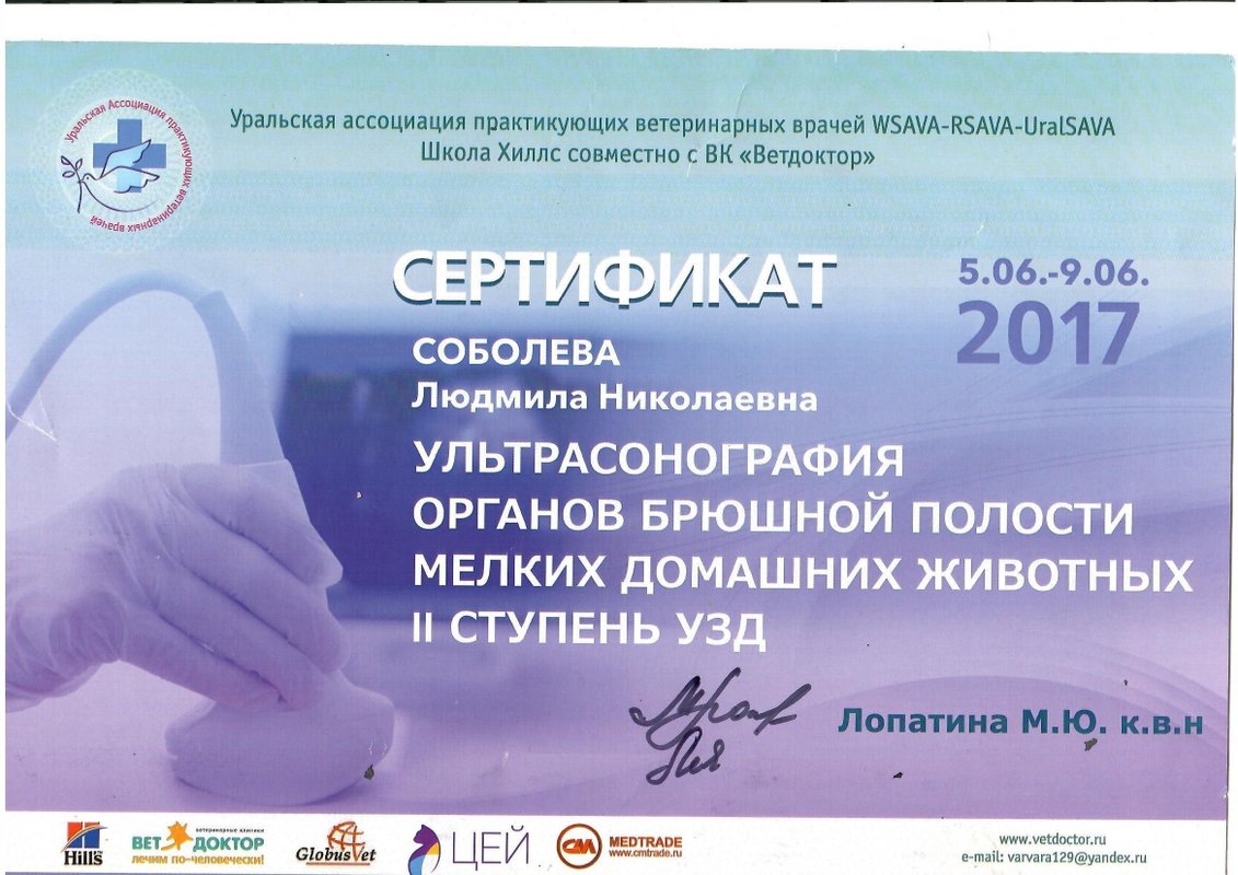 Документ или сертификат