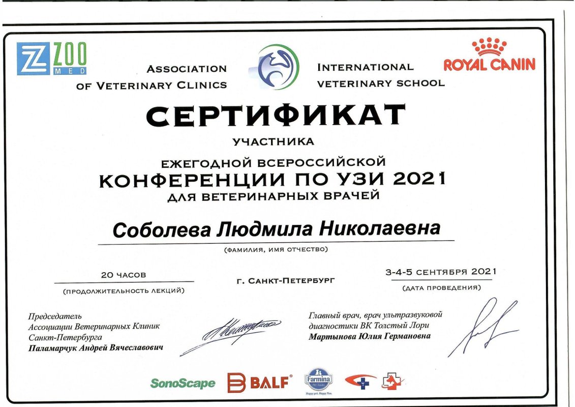 Документ или сертификат