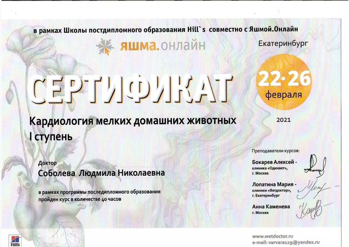 Документ или сертификат