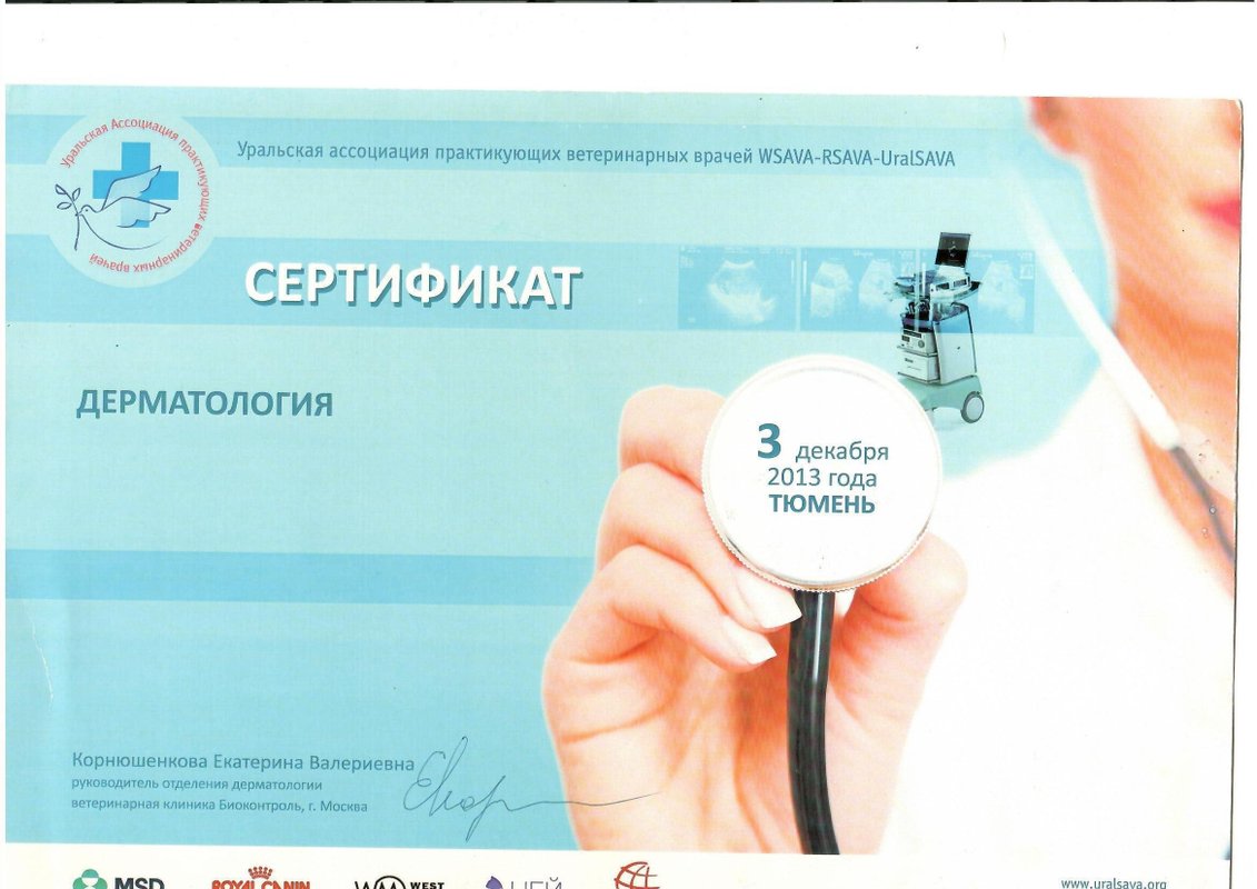 Документ или сертификат