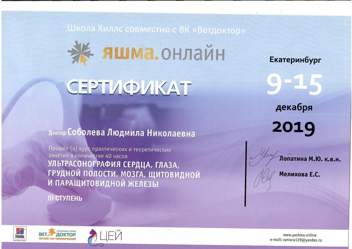 Документ или сертификат