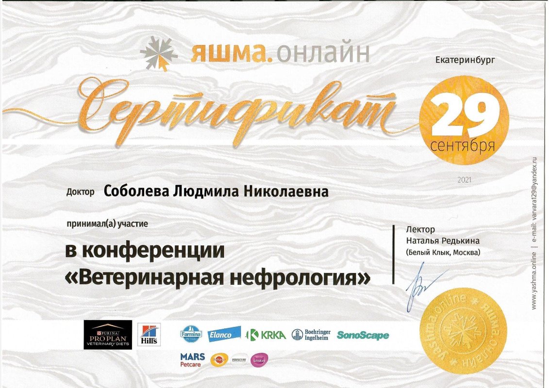 Документ или сертификат