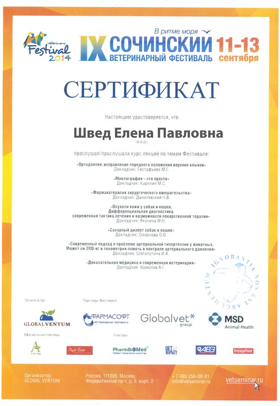 Документ или сертификат