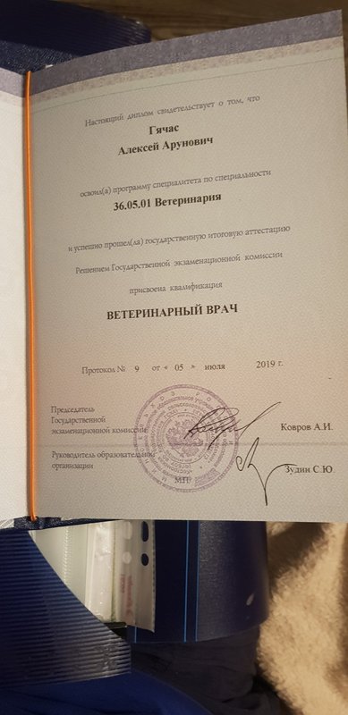Документ или сертификат