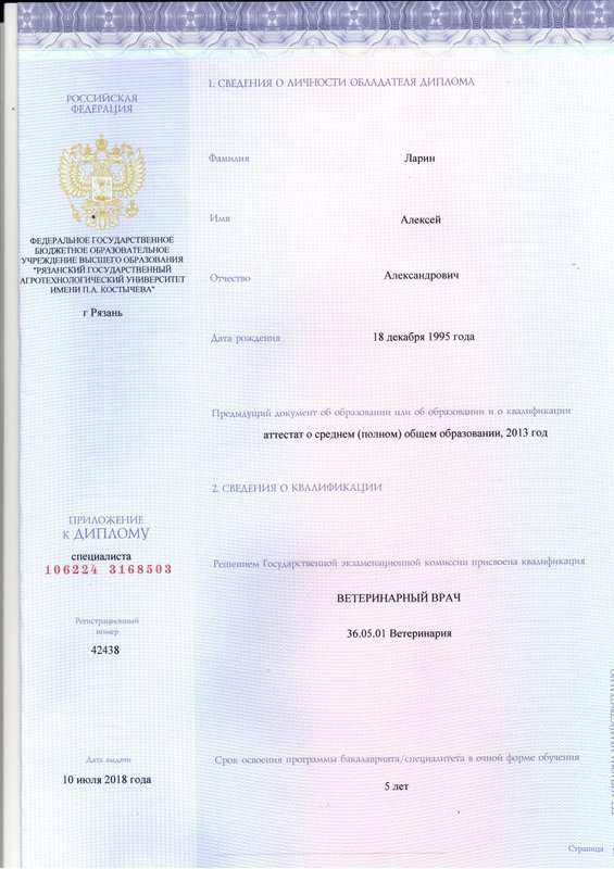 Документ или сертификат