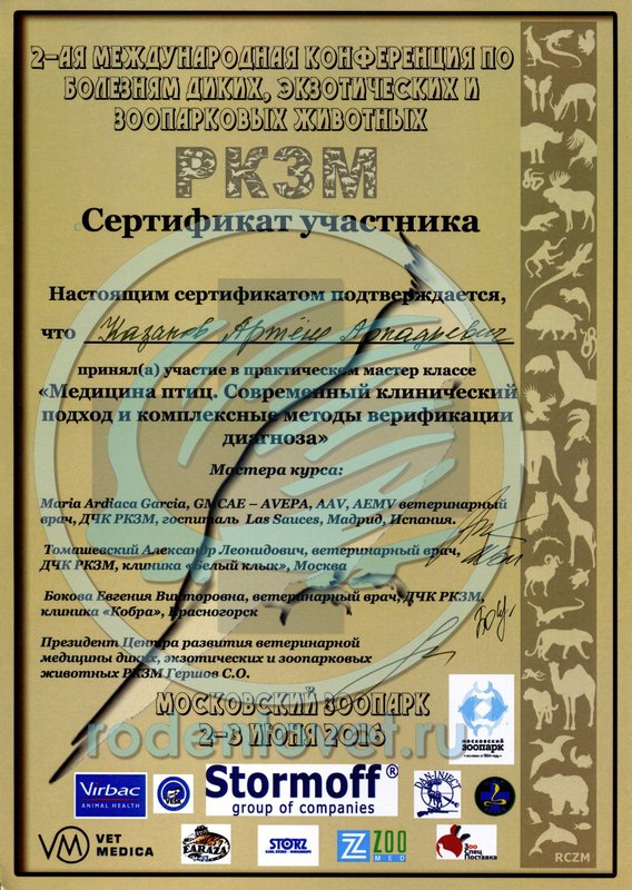 Документ или сертификат