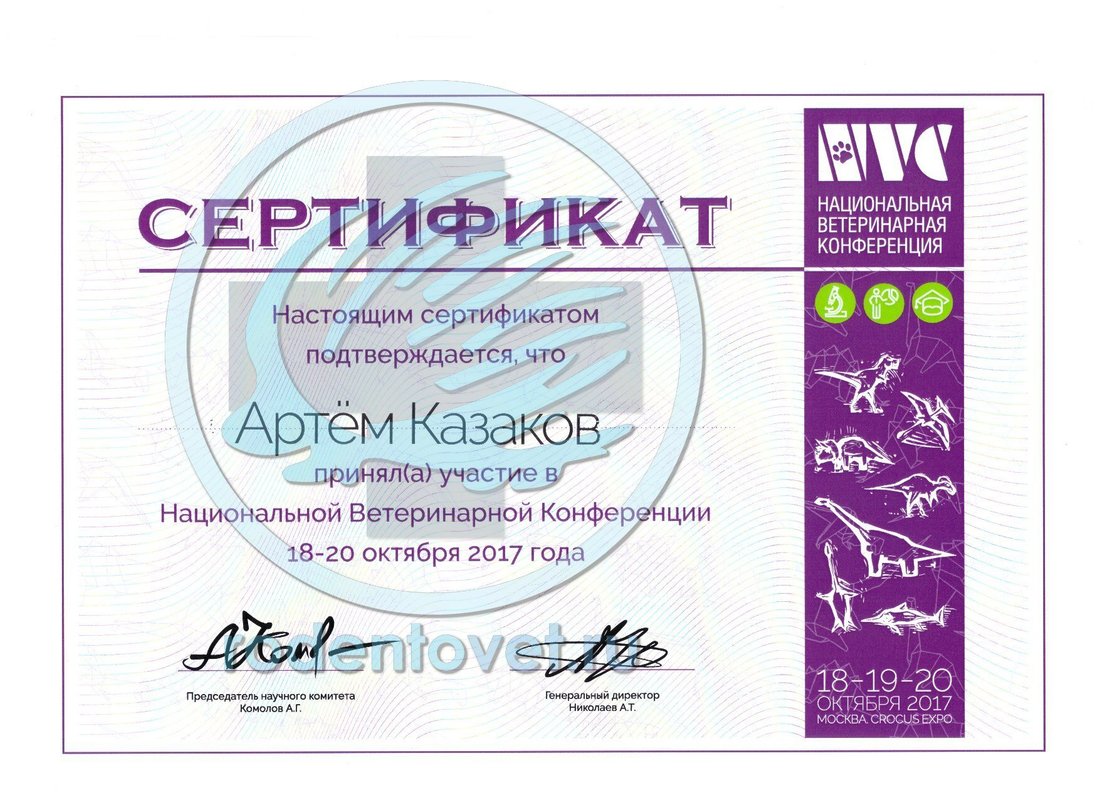 Документ или сертификат