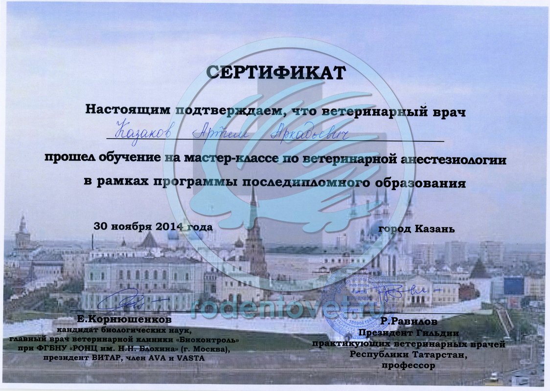 Документ или сертификат