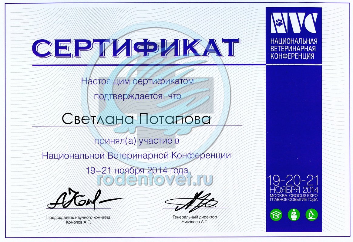Документ или сертификат