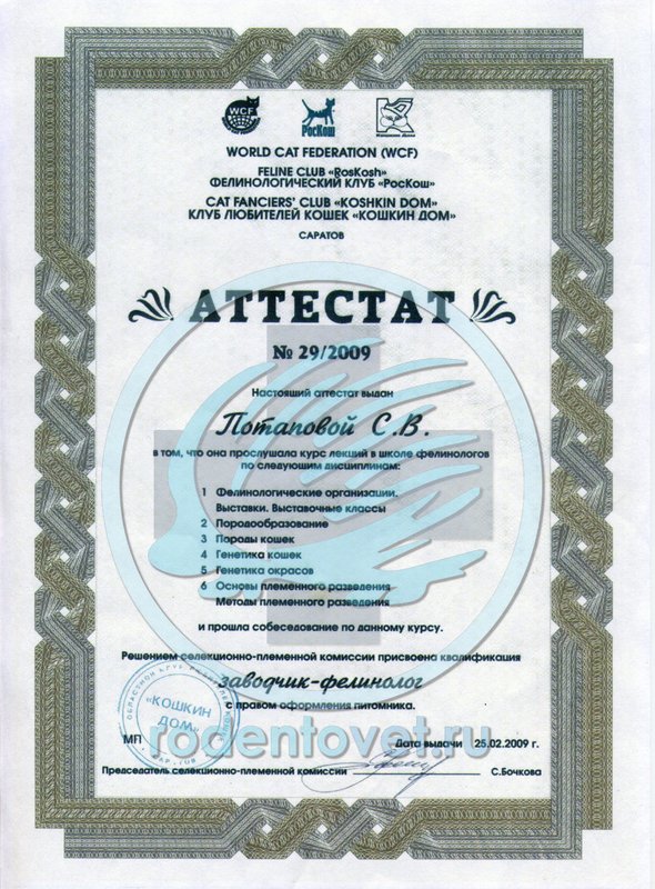 Документ или сертификат