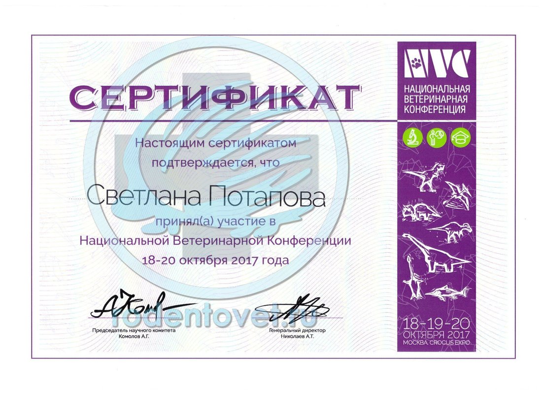 Документ или сертификат