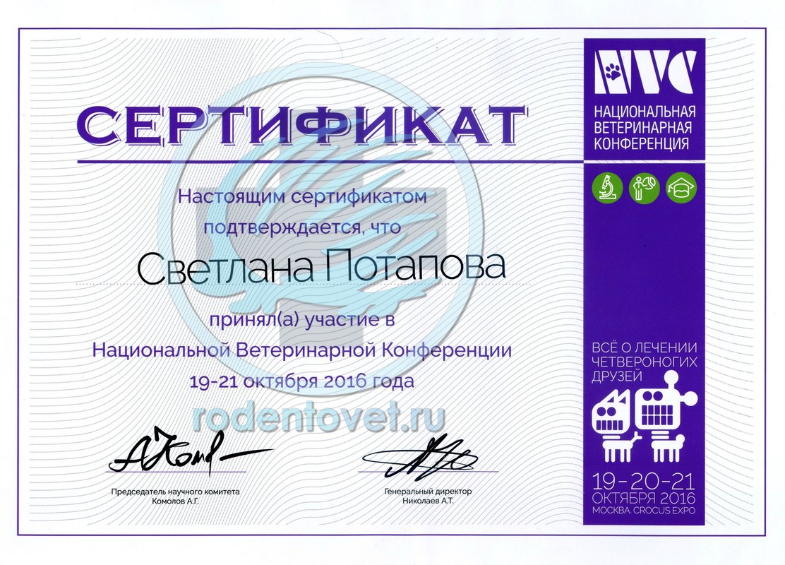 Документ или сертификат