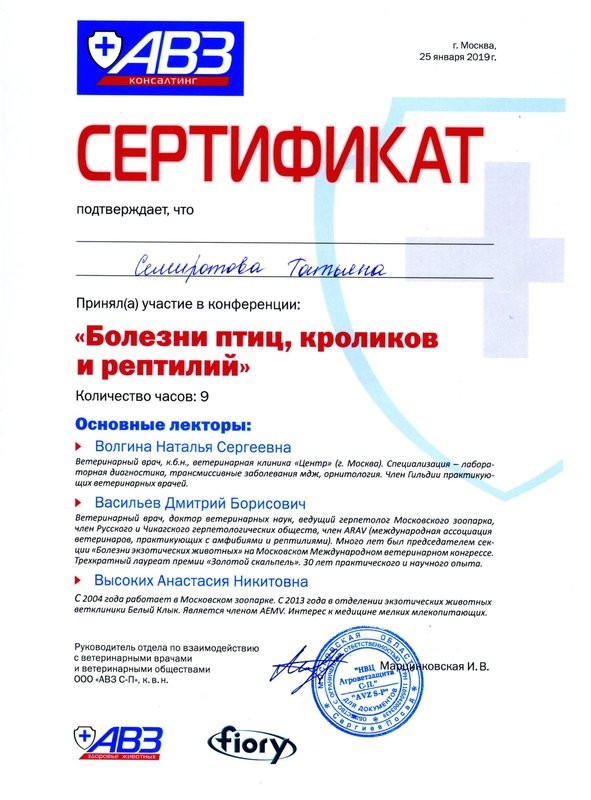 Документ или сертификат