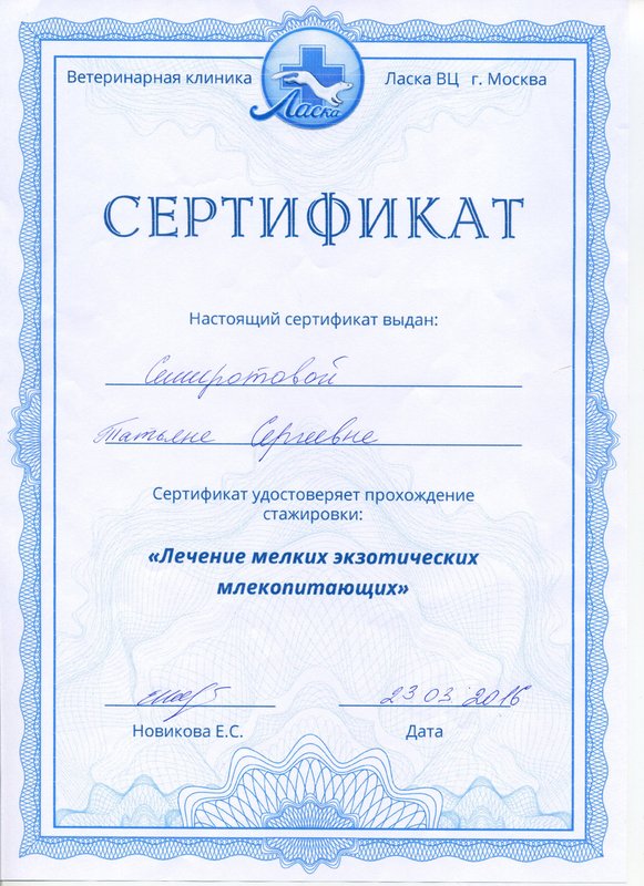 Документ или сертификат