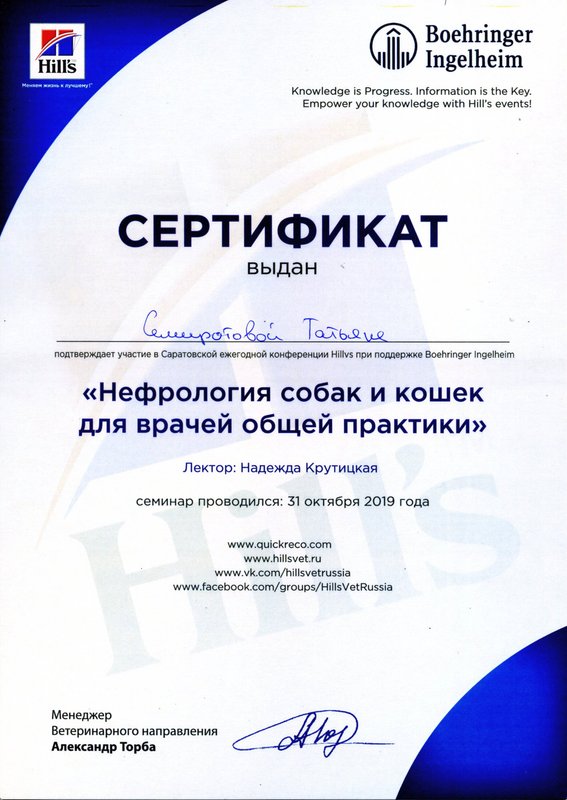Документ или сертификат