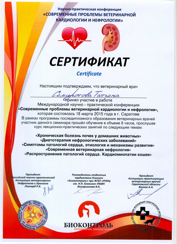 Документ или сертификат