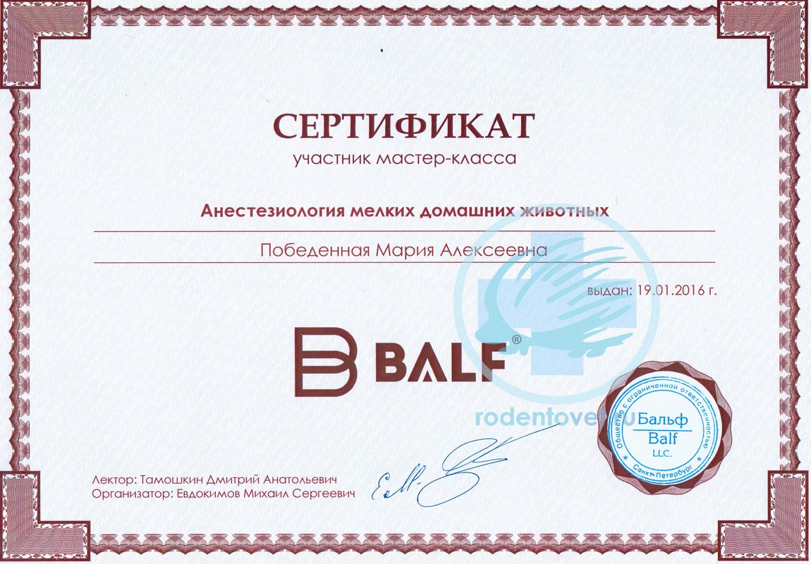 Документ или сертификат
