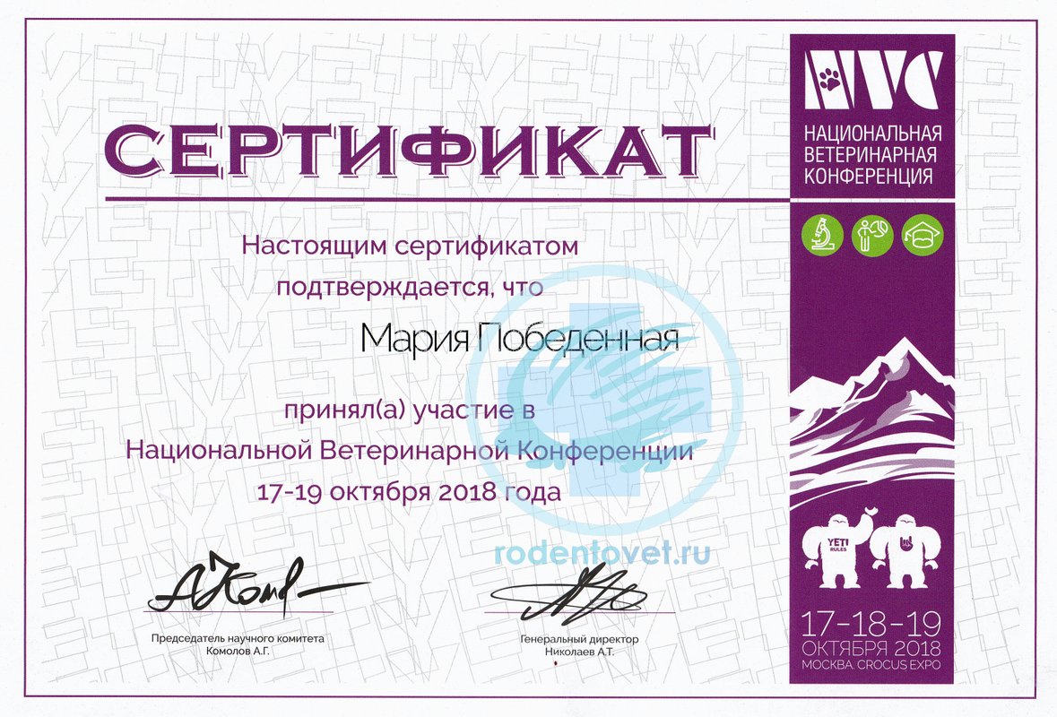 Документ или сертификат
