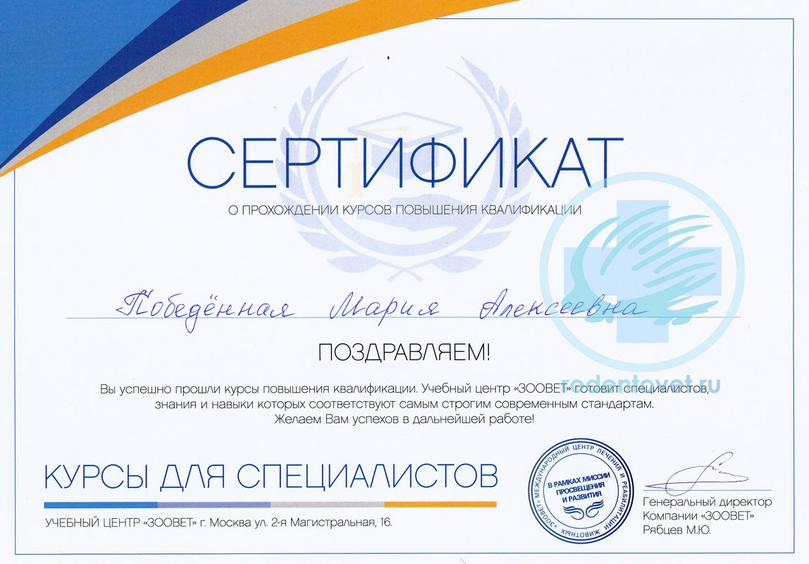 Документ или сертификат