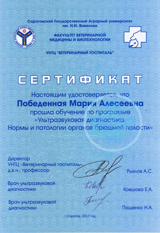 Документ или сертификат