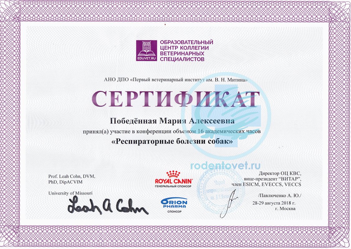 Документ или сертификат