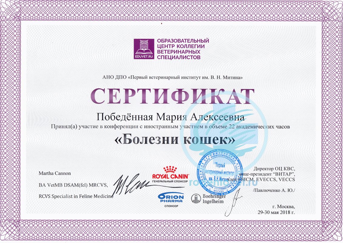 Документ или сертификат