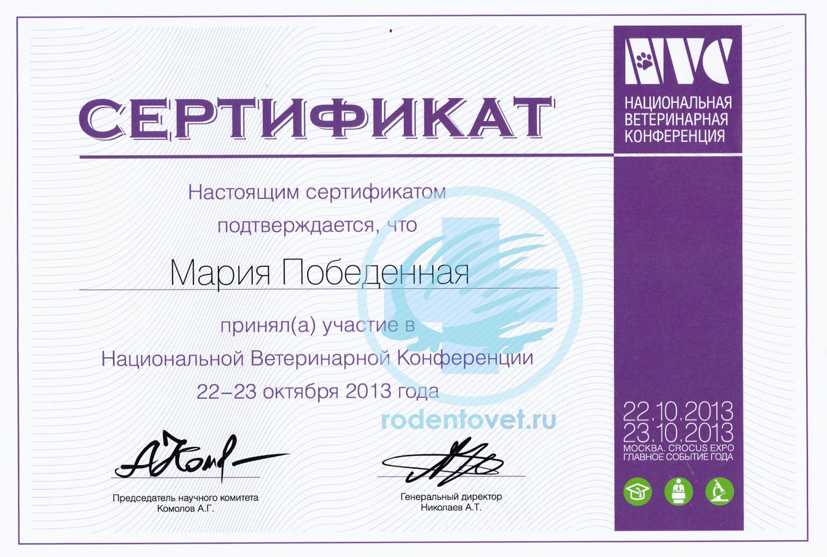 Документ или сертификат