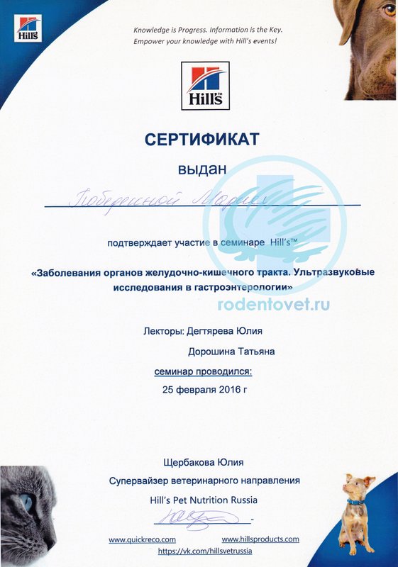 Документ или сертификат