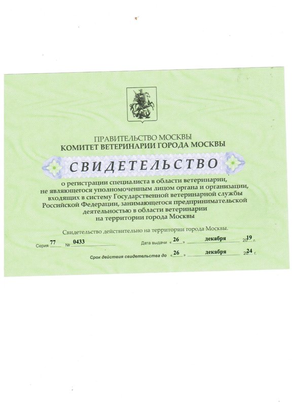Документ или сертификат