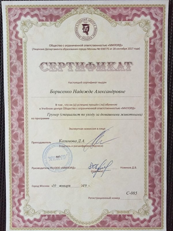 Документ или сертификат