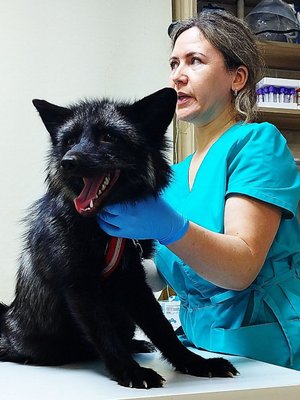 Фото врача Алькинская Наталья Григорьевна