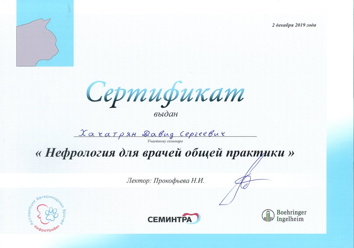 Документ или сертификат