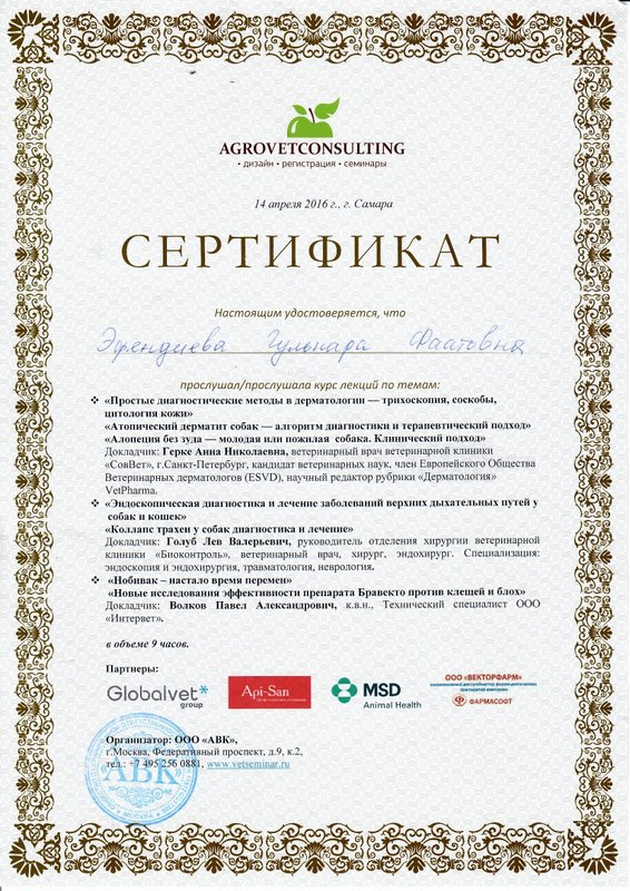 Документ или сертификат