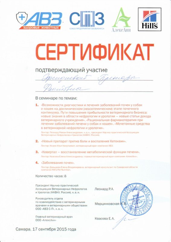 Документ или сертификат