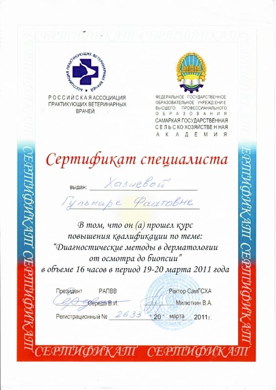 Документ или сертификат
