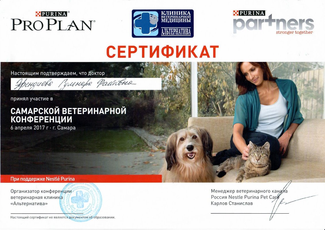 Документ или сертификат