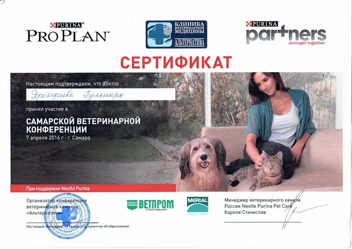 Документ или сертификат