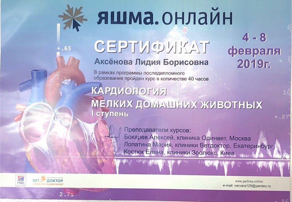 Документ или сертификат