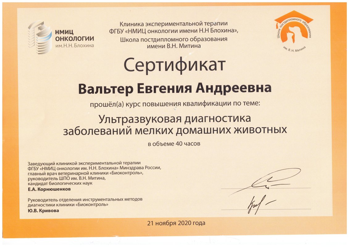 Документ или сертификат
